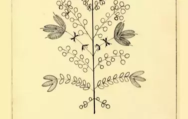 Lubasz1