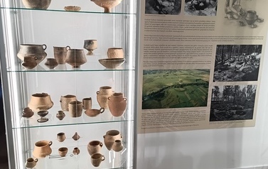 Gablota z eksponatami archeologicznymi