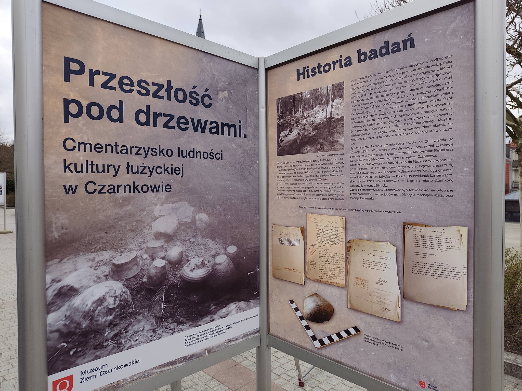 Przeszłość pod drzewami. 