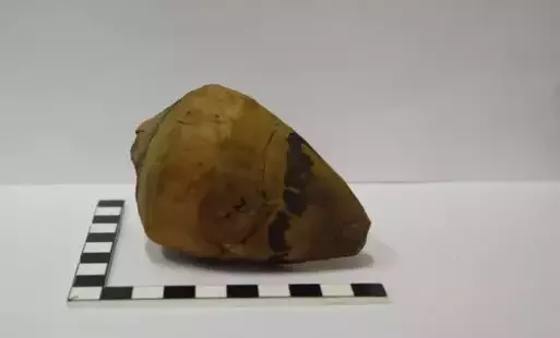 Zdjęcie do Historia wirujących przedmiot&oacute;w-zapomniane artefakty z badań archeologicznych w Czarnkowie