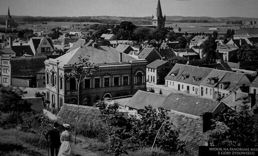 Widok z Góry Żydowskiej na panoramę miasta