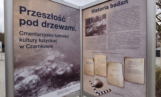 Przeszłość pod drzewami. Cmentarzysko ludności kultury łużyckiej w Czarnkowie