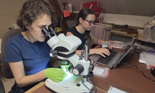 Wizyta specjalistów w Muzeum Ziemi Czarnkowskiej